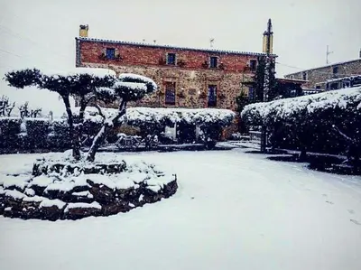 a snow covered park with a tree and a building at HOTEL RESTAURANT TURÓ de la TORRE in Manresa