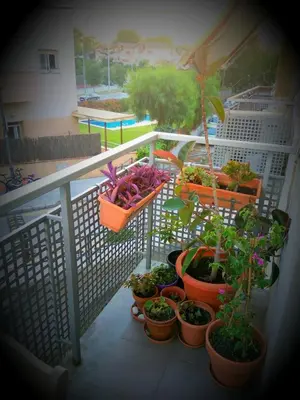 a group of plants in pots on a balcony at Apartamento a 5 minutos del centro y playa in Sitges