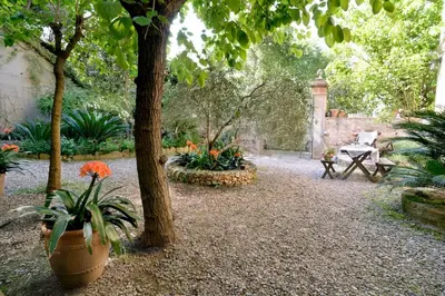 a garden with a table and some plants and a tree at Torre d'en Malla in Martorell