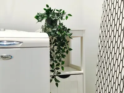 a plant sitting on top of a refrigerator at Apartamento turístico Muntaner Bonanova Sarrià in Barcelona