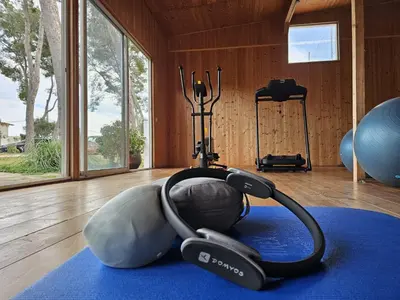 a gym with an exercise ball on a blue rug at La Casa Delviga in Can Trabal
