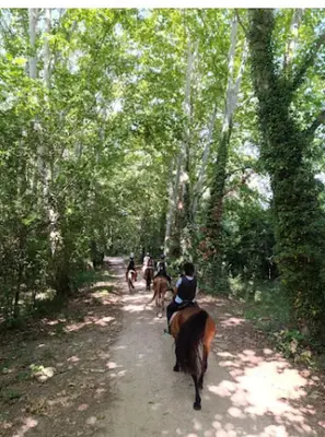a group of people riding horses down a dirt trail at Masía Can Janàs in Lliçà d'Amunt