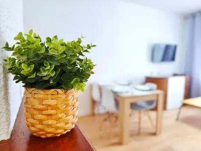 a plant in a wicker basket sitting on a table at Apartamento en Vilassar de Mar, Costa de Barcelona in Vilassar de Mar