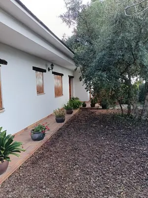 a courtyard of a house with potted plants at El Mirador de Can Barri BB Vistas Piscina y Desayuno Gourmet in Bigues i Riells