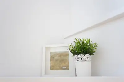 a plant in a white vase sitting on a shelf at Casa De Poble Termes Romanes in Caldes de Montbui