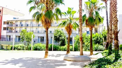 a group of palm trees in front of a building at Apartaments Turístics Residencia Vila Nova in Vilanova i la Geltrú