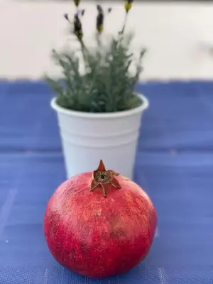 a red apple sitting on a table next to a potted plant at Sunny Apartment Central Sitges in Sitges