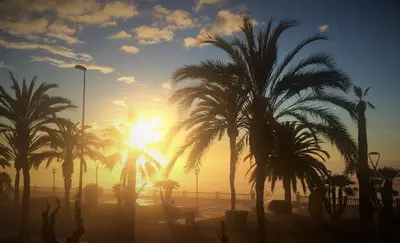 a group of palm trees in front of a sunset at Apartaments Villa Conchi in Sitges