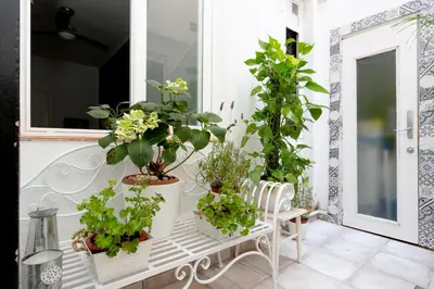 a bunch of plants sitting on a bench on a porch at Easy Sants by Bossh! Hotels in Barcelona
