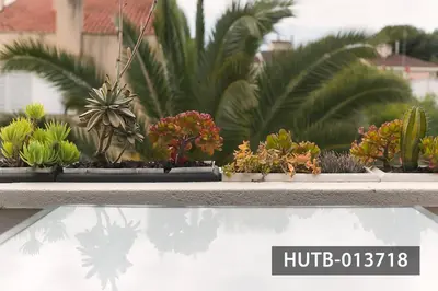 a row of potted plants on a ledge at Blanco Vinyet in Sitges