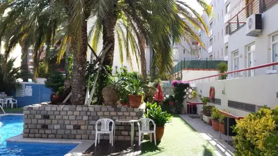 a courtyard with a palm tree and chairs next to a swimming pool at Apartaments Mar Blau Calella in Calella