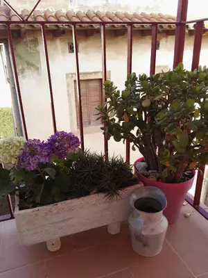 a window sill with flowers and plants on a balcony at Apartment Oliver in Calella
