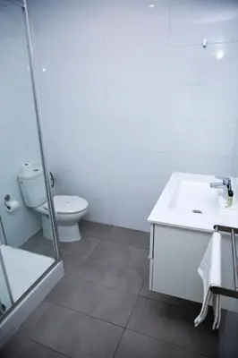 a bathroom with a toilet and a sink and a shower at DragonTree Barcelona - apartamentos turisticos 5 min from the BEACH in Barcelona