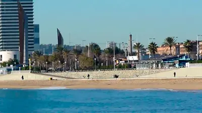 a beach with palm trees and buildings and the ocean at Barcelona Olympic Apartment in Barcelona