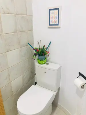a bathroom with a toilet with a plant on top of it at Heart of Gracia in Barcelona