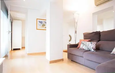a living room with a brown couch and a hallway at Alcam Paseo San Juan in Barcelona