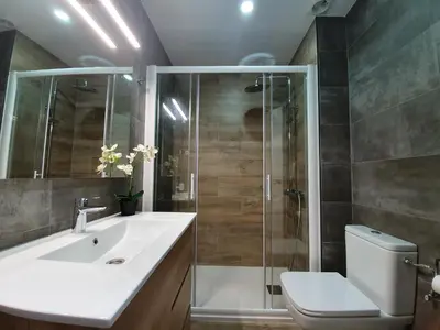 a bathroom with a shower and a sink and a toilet at Apartment Beach Front Sant Pol in San Pol de Mar