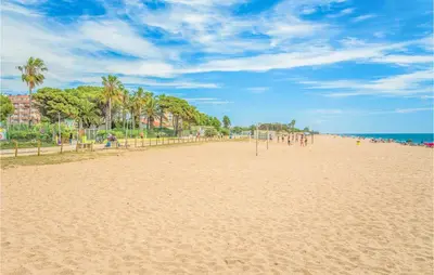 a sandy beach with palm trees and the ocean at Gorgeous Apartment In Pineda De Mar in Pineda de Mar
