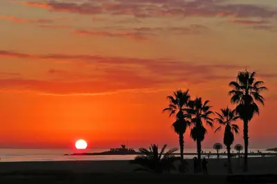 a sunset on the beach with palm trees at Piso Vilanova i la Geltrú in Vilanova i la Geltrú