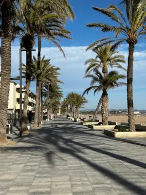a street lined with palm trees on a beach at Apartment Foix in Cubelles