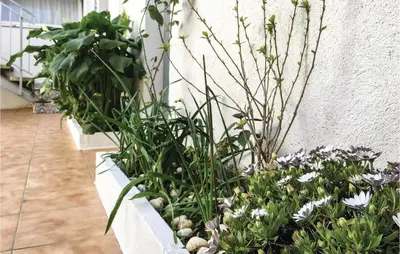 a garden with flowers and plants on a wall at Lovely Apartment In Pineda De Mar in Pineda de Mar
