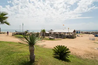 a palm tree in front of a building on the beach at Vilamarlux I in Vilassar de Mar