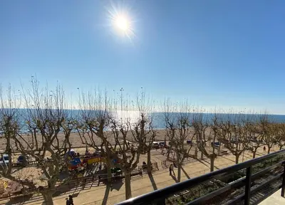 a view of a beach with trees and the water at Vivalidays Yolanda in Calella