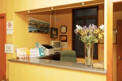 a vase of flowers sitting on a counter in a store at Hostal Nuevo Colon in Barcelona