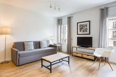a living room with a couch and a tv at Amister Apartments in Barcelona