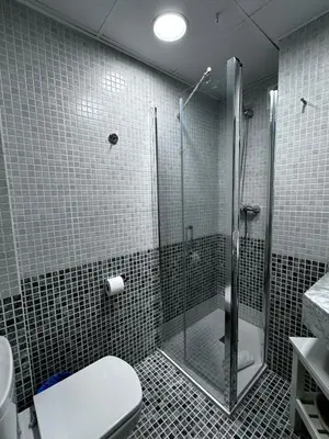 a bathroom with a shower and a toilet at Barcelona4Seasons - Central Palace in Barcelona