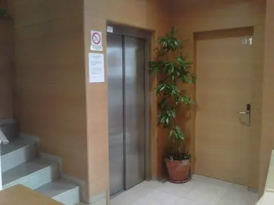 an elevator in a building with two potted plants at Hostal Rambla in Sant Boi del Llobregat