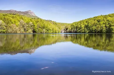 a large body of water with trees and mountains at Hostal l'Avet Blau in Santa Fe de Montseny