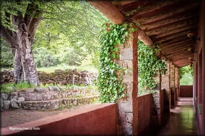 an ivy covered building with a stone wall at Hostal l'Avet Blau in Santa Fe de Montseny
