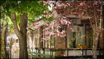 a house with pink flowering trees in front of it at Hostal l'Avet Blau in Santa Fe de Montseny
