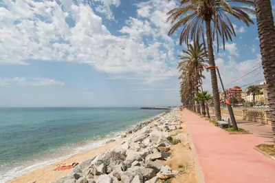 a beach with palm trees and a sidewalk at Vilamarlux II in Vilassar de Mar