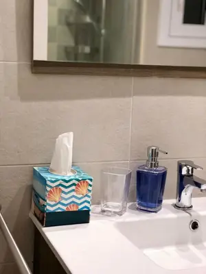 a bathroom sink with a box of tissues and a tissue at Vilamarlux II in Vilassar de Mar