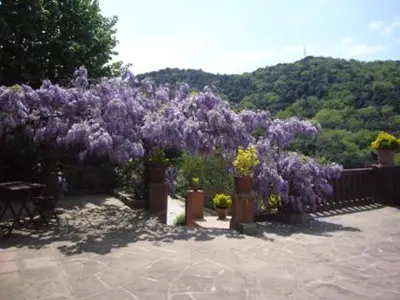 a bunch of purple flowers in a garden at Masia Vista Hermosa in Vallromanas