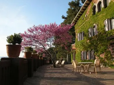 a tree with pink flowers next to a building at Masia Vista Hermosa in Vallromanas