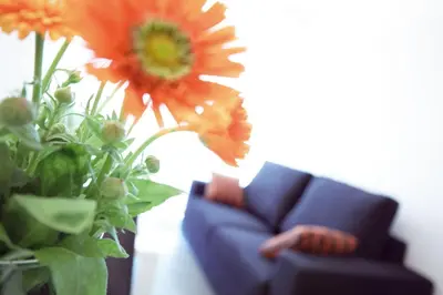 a blue couch next to a vase with orange flowers at 08028 Apartments in Barcelona