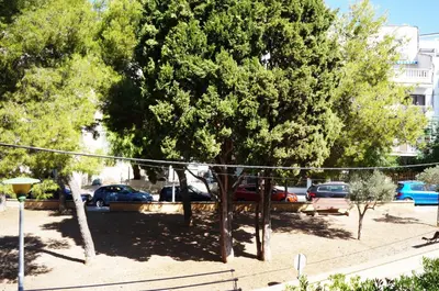 a group of trees in a parking lot with cars at Matilda Home on the Beach in Sitges
