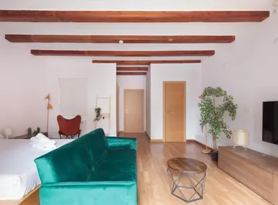 a living room with a green couch and a tv at Spacious doubleroom apartment at Sants in Barcelona