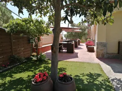 a tree in a yard with flowers in pots at Cal Músic B&B in Premia de Dalt