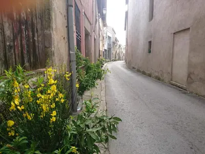 an empty alley with yellow flowers next to a fence at Cal Ton M in Castelltersol