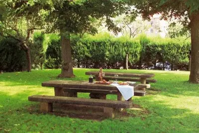 two picnic tables in a park with a tableablish at Fonda La Masia Del Sola in Monistrol de Calders