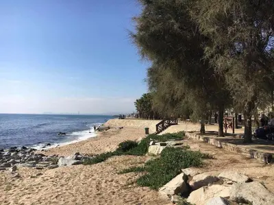 a sandy beach with trees and the ocean at Nice and quiet flat in Premià de Mar - HUTB 01790 in Premiá de Mar