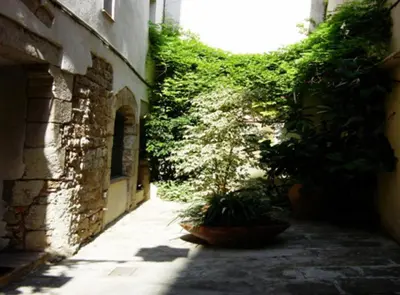 an alley with some plants in a building at Portal Del Angel Barcelona Apartment in Barcelona
