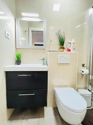 a bathroom with a toilet and a sink and a mirror at Apartamento Sants in Barcelona