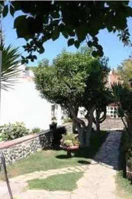 a garden with trees and a stone wall at Hostal Casa Torrent in Canet de Mar