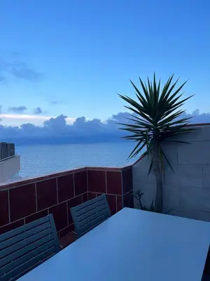 a table and two benches and a palm tree on a balcony at VicAm Atico Duplex in Pineda de Mar