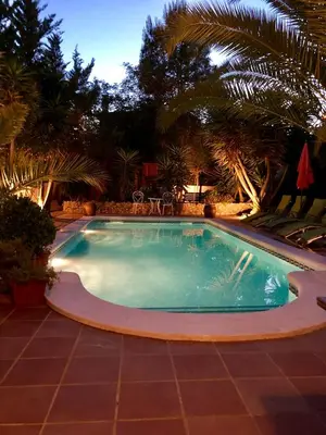 a swimming pool in a yard with palm trees at Villa Rosa Sitges in Can Trabal
